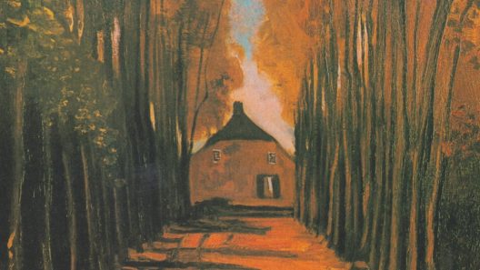 Van Gogh - Schoteldonkse Hoeve