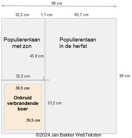 vierkant populieren 2