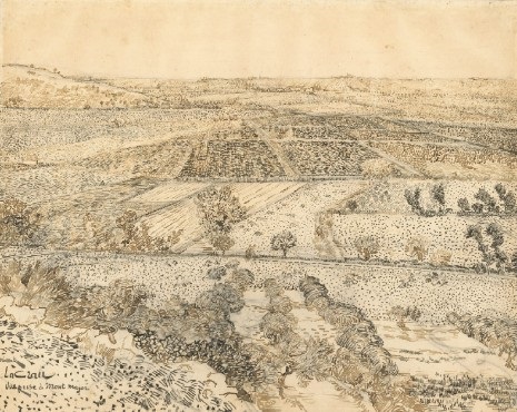 De Vlakte Van La Crau