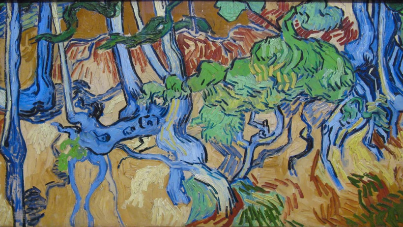 Van Gogh Boomwortels