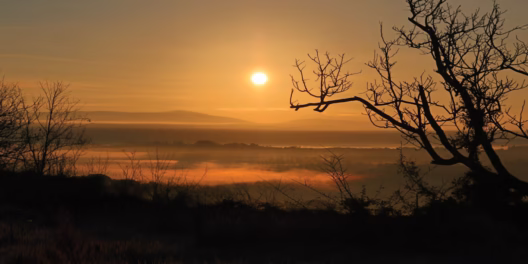 Zon landschap